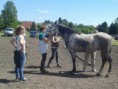 /album/reitertreffen-10-mai-2014/a1609943-787149497976786-5115889101488487189-n-jpg/