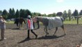 /album/reitertreffen-10-mai-2014/img-20140511-wa0186-jpg/